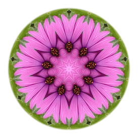 Nine-Pointed Star made from the flowers at Avoca, Ireland